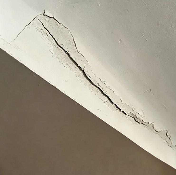 Ceiling Edge & Perimeter Repair